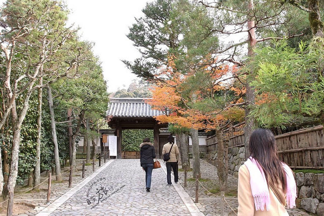 自助旅行