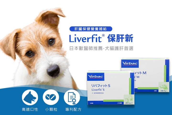 淺談老狗照顧 狗狗年紀大必須注意的3大重點與常見疾病 Virbac 維克官方旗艦店