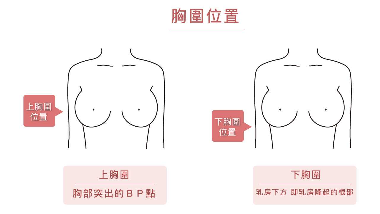 如何正確測量內衣尺寸？3步驟讓妳不再挑錯內衣| CHEAUSUH巧宿