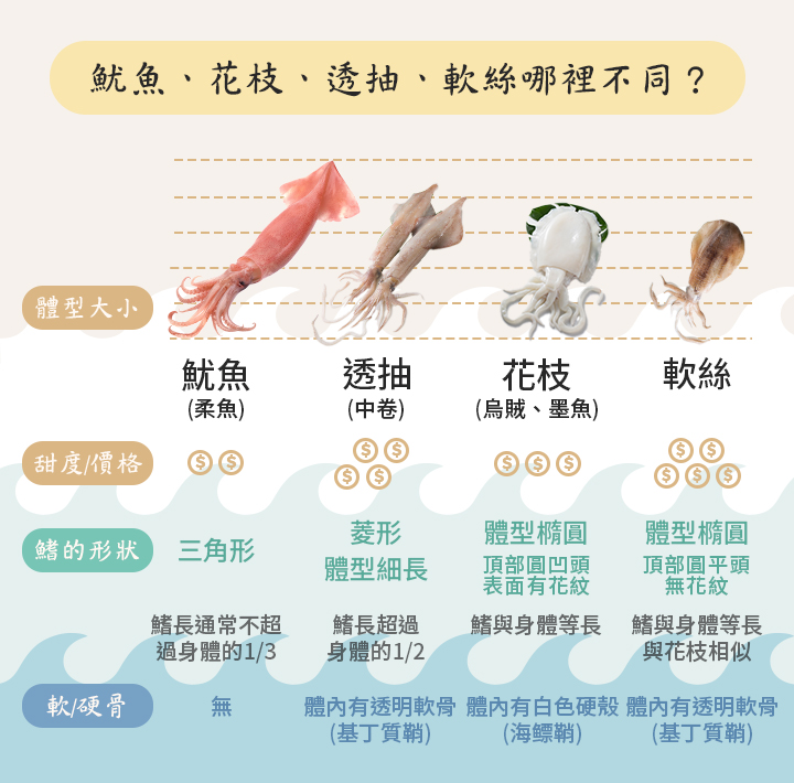 【海鮮小知識】魷魚、花枝、透抽、軟絲傻傻分不清? | 元家宅鮮配