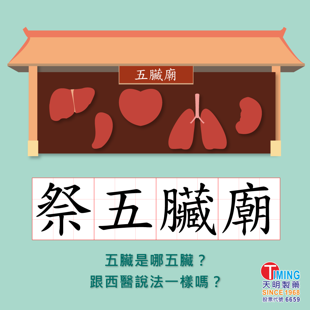 【中醫藥小知識 - 五臟六腑】 | 天明健康館