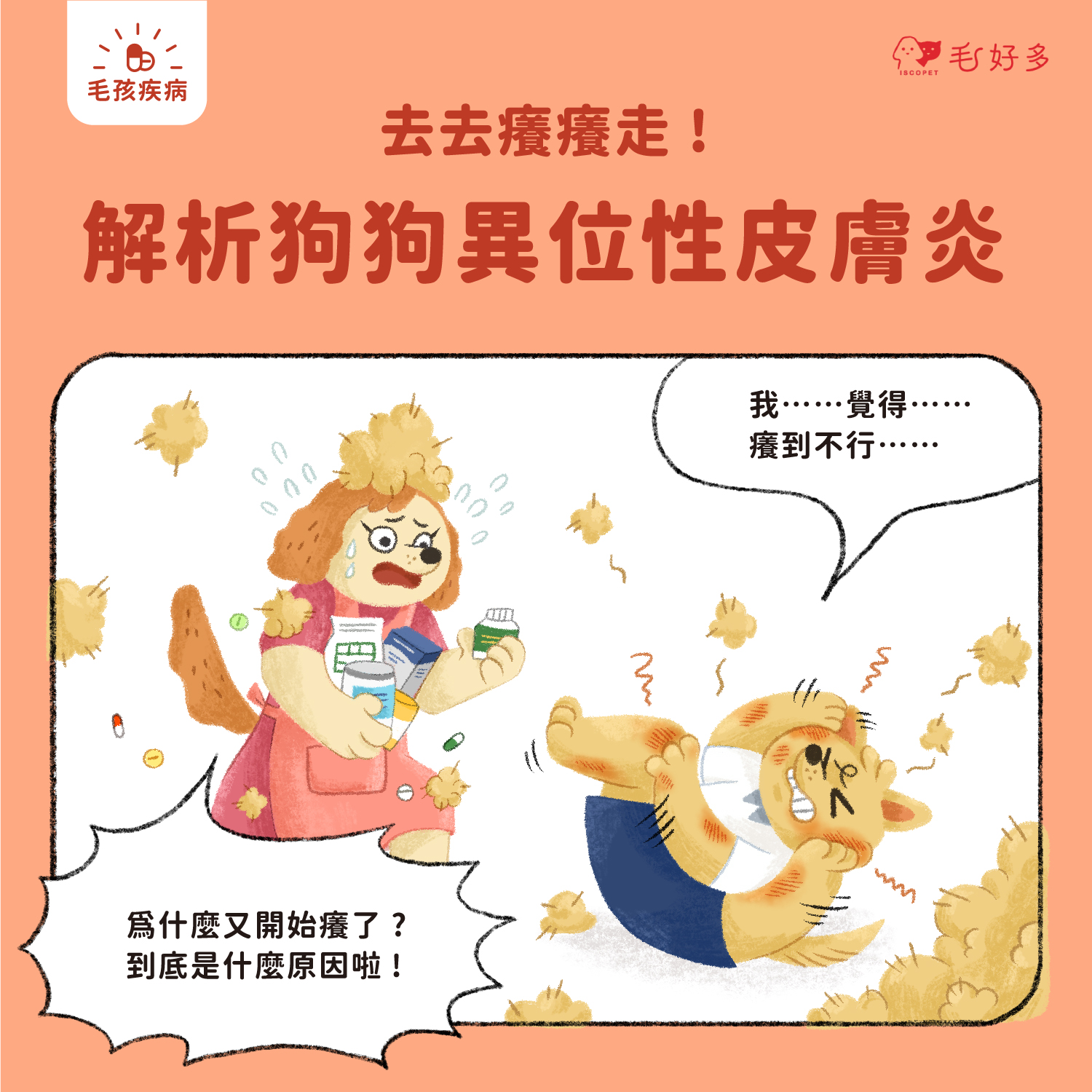 【毛孩疾病】 癢癢去去走!剖析狗狗異位性皮膚炎