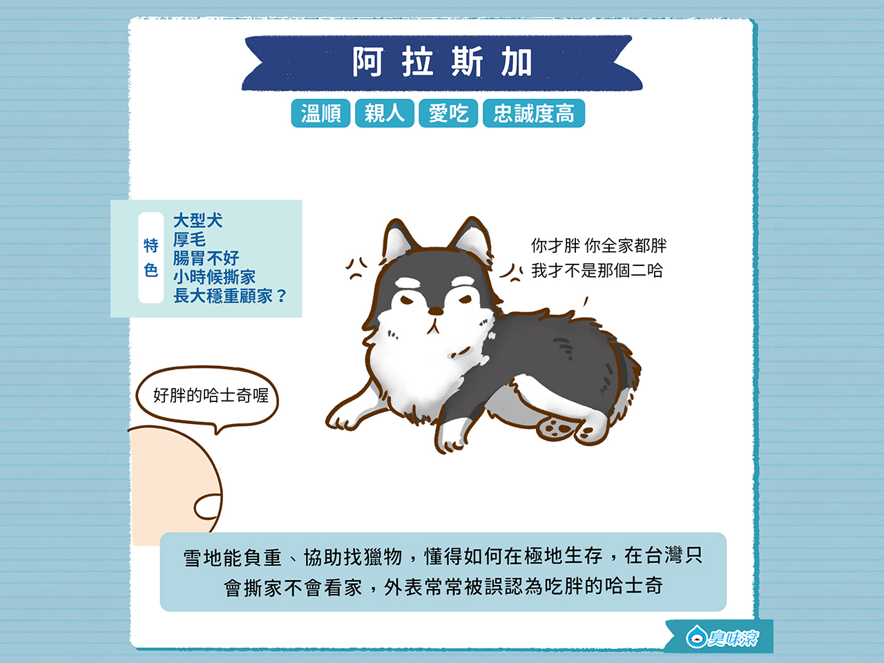 常見狗狗品種 大型犬篇 臭味滾odout