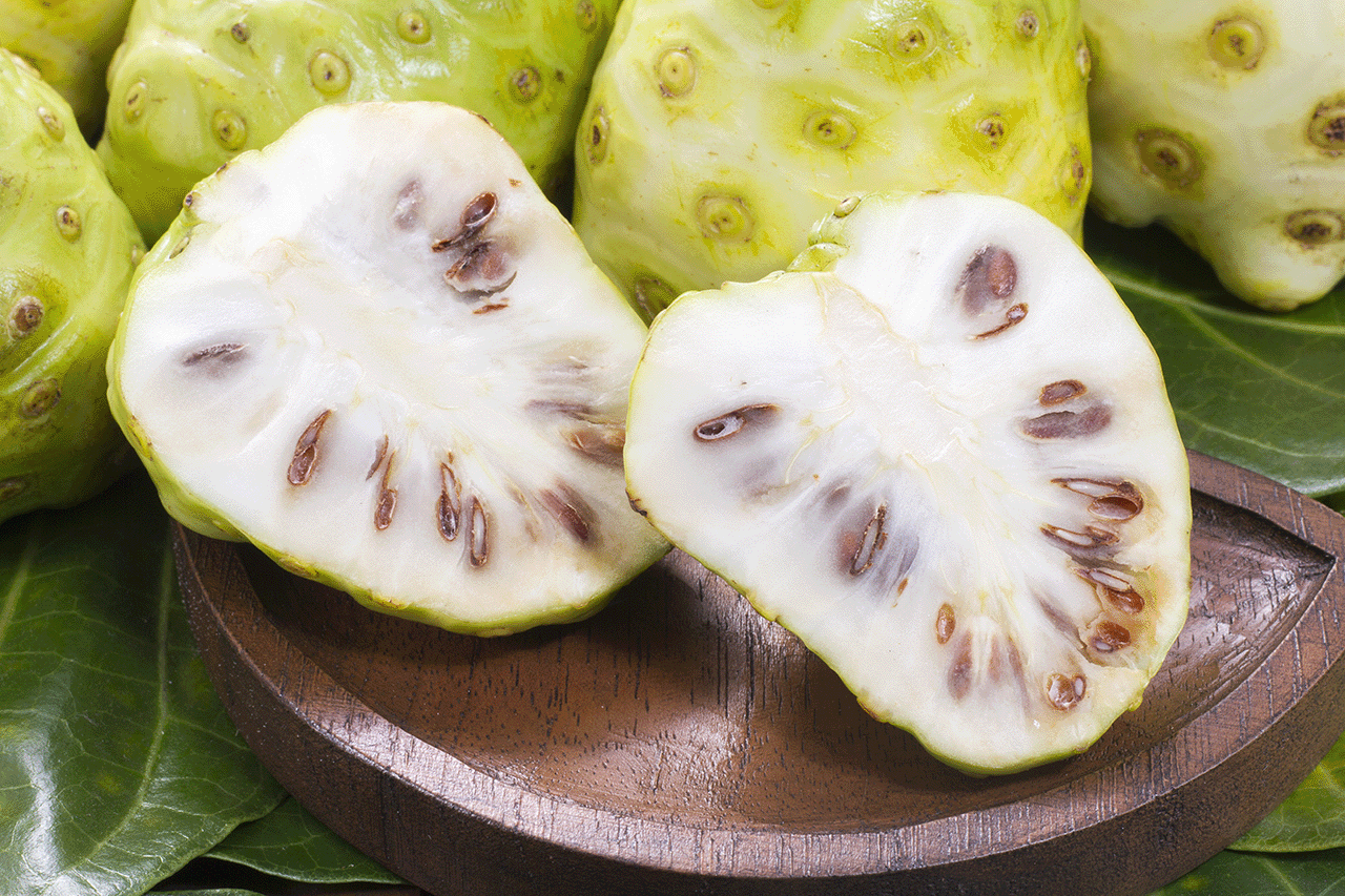 諾麗果酵素推薦02