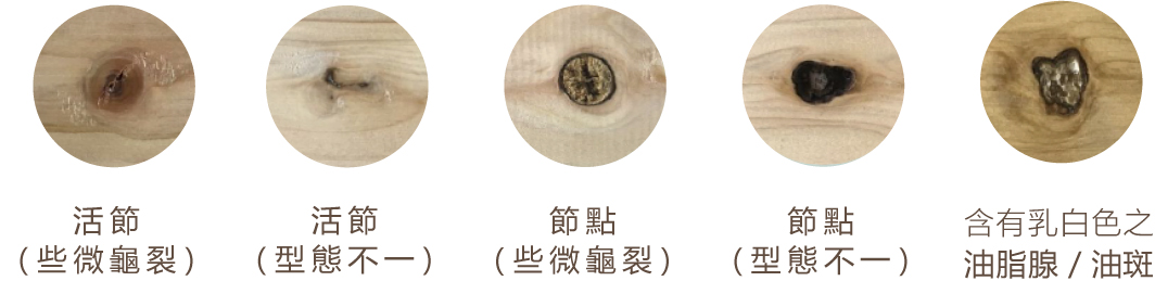 檜木補節工藝技術 | 亞梭傢俬