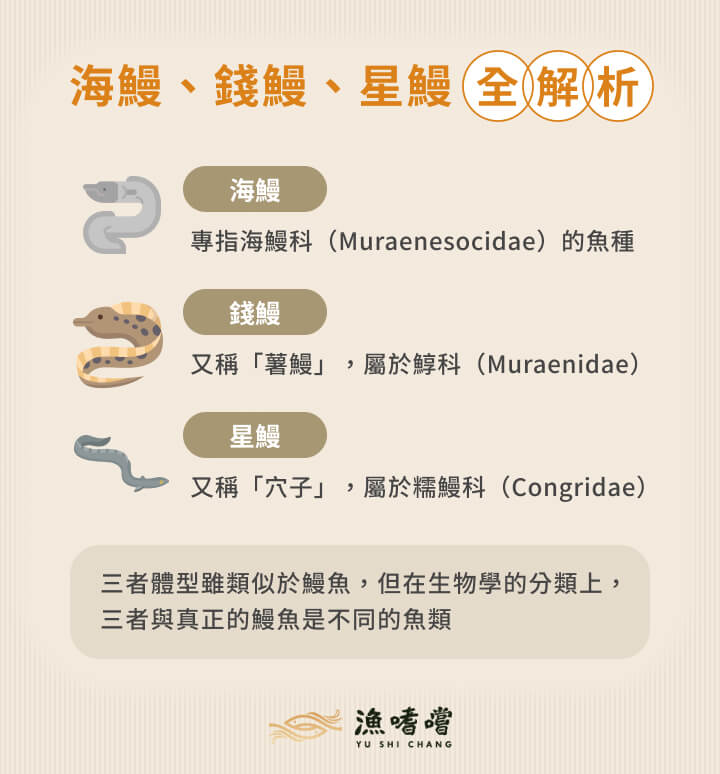 鰻魚是魚嗎?鰻魚成長過程、常見種類介紹、推薦產品一次看! | 漁嗜嚐