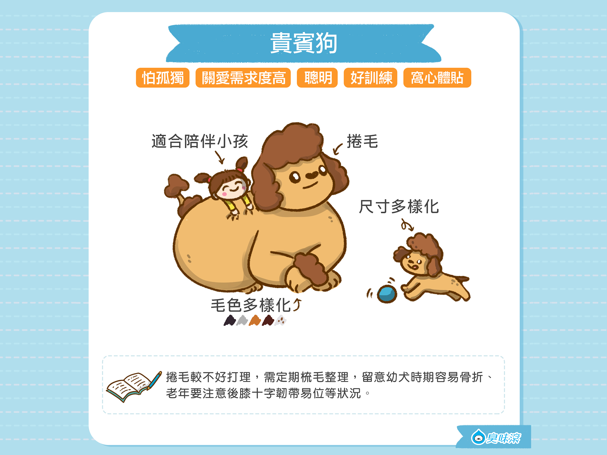 常見狗狗品種-中小型犬篇| 臭味滾ODOUT