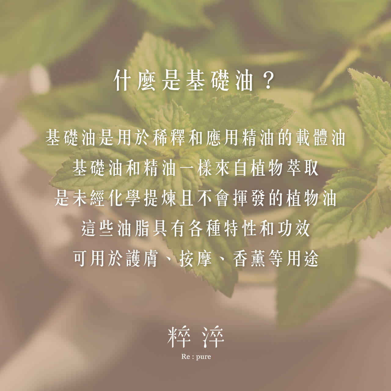 認識基礎油,3種基礎油的介紹和使用方法 | 粹淬芳療小教室 | 粹淬Re:pure