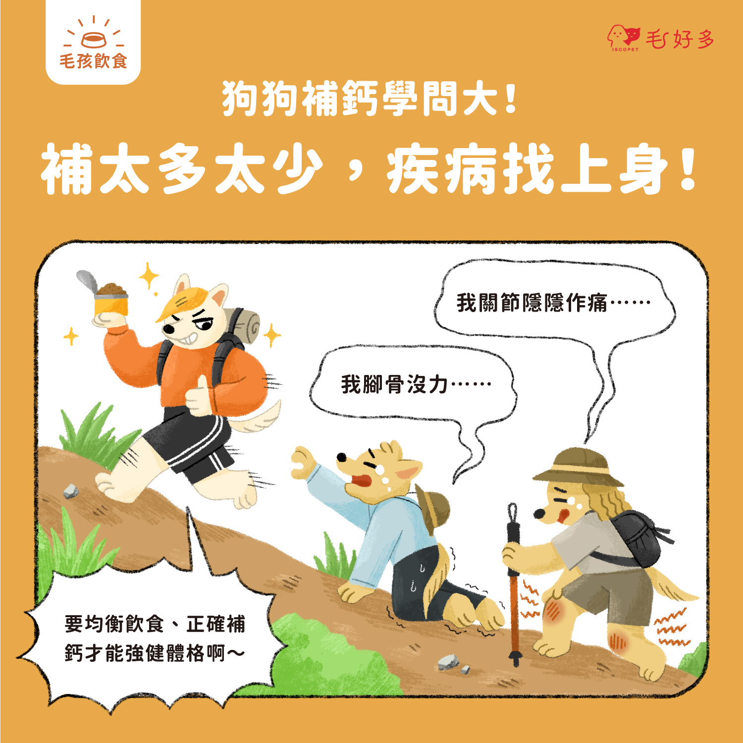 【毛孩飲食】狗狗補鈣學問大!補太多太少,疾病找上身