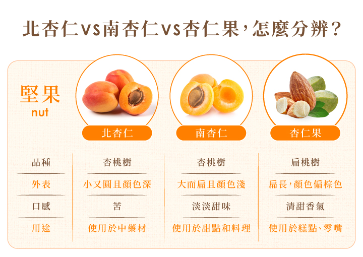 「杏仁果」與「杏仁」的差別 _ 杏仁果是什麼果實 – 南杏、北杏大不同!有甜有苦的「杏」福滋味 – XLGQY
