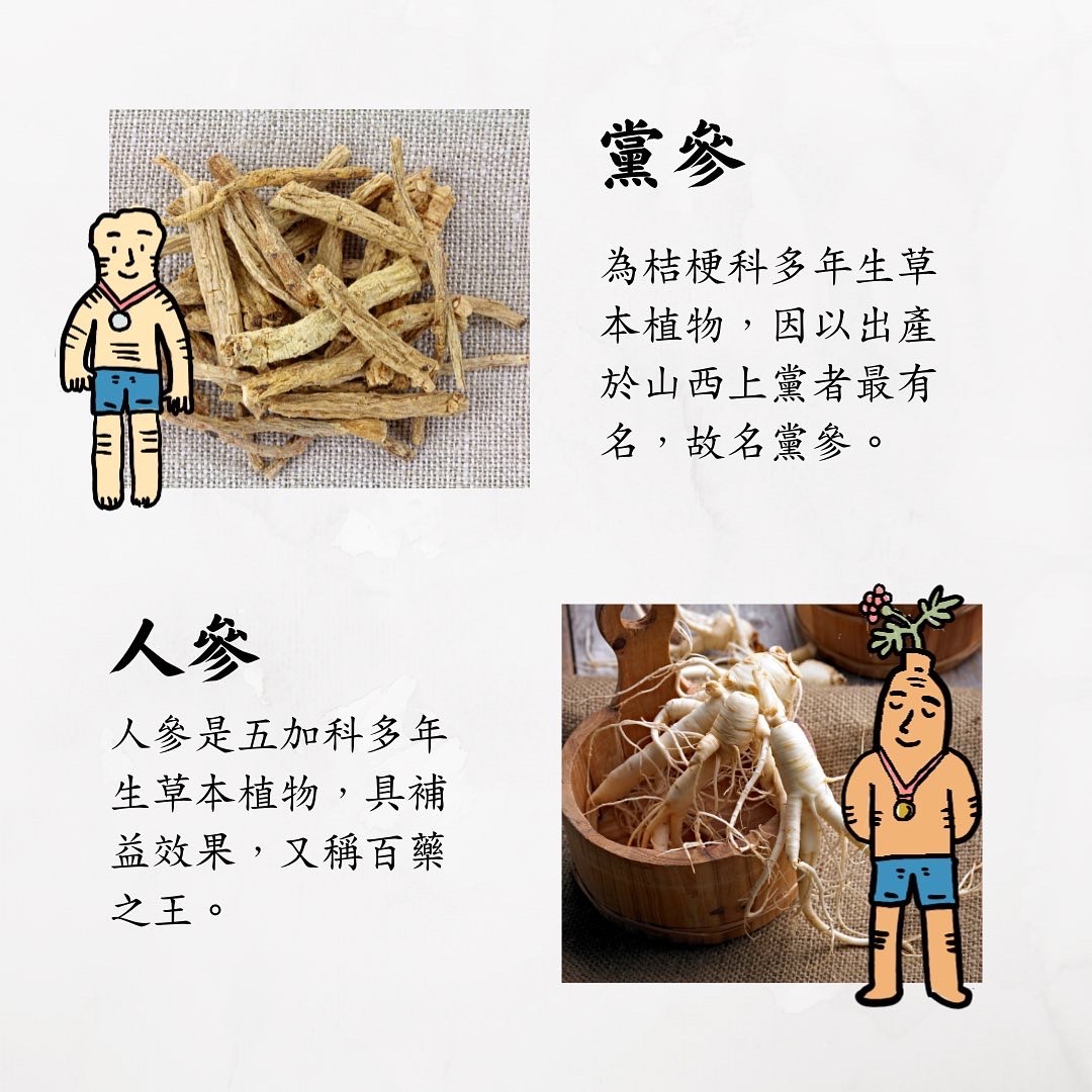 黨參和人參究竟有甚麼樣的不同⁉ | 玉膳坊頂級月子餐 | 坐月子首選
