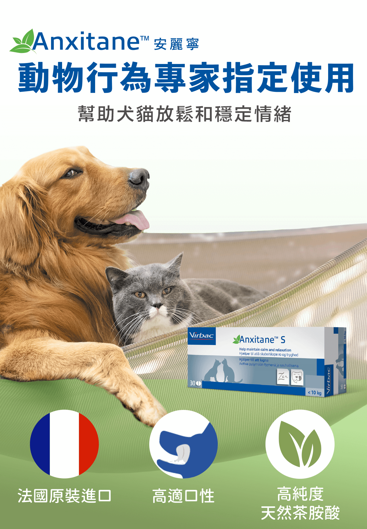 淺談老狗照顧 狗狗年紀大必須注意的3大重點與常見疾病 Virbac 維克官方旗艦店