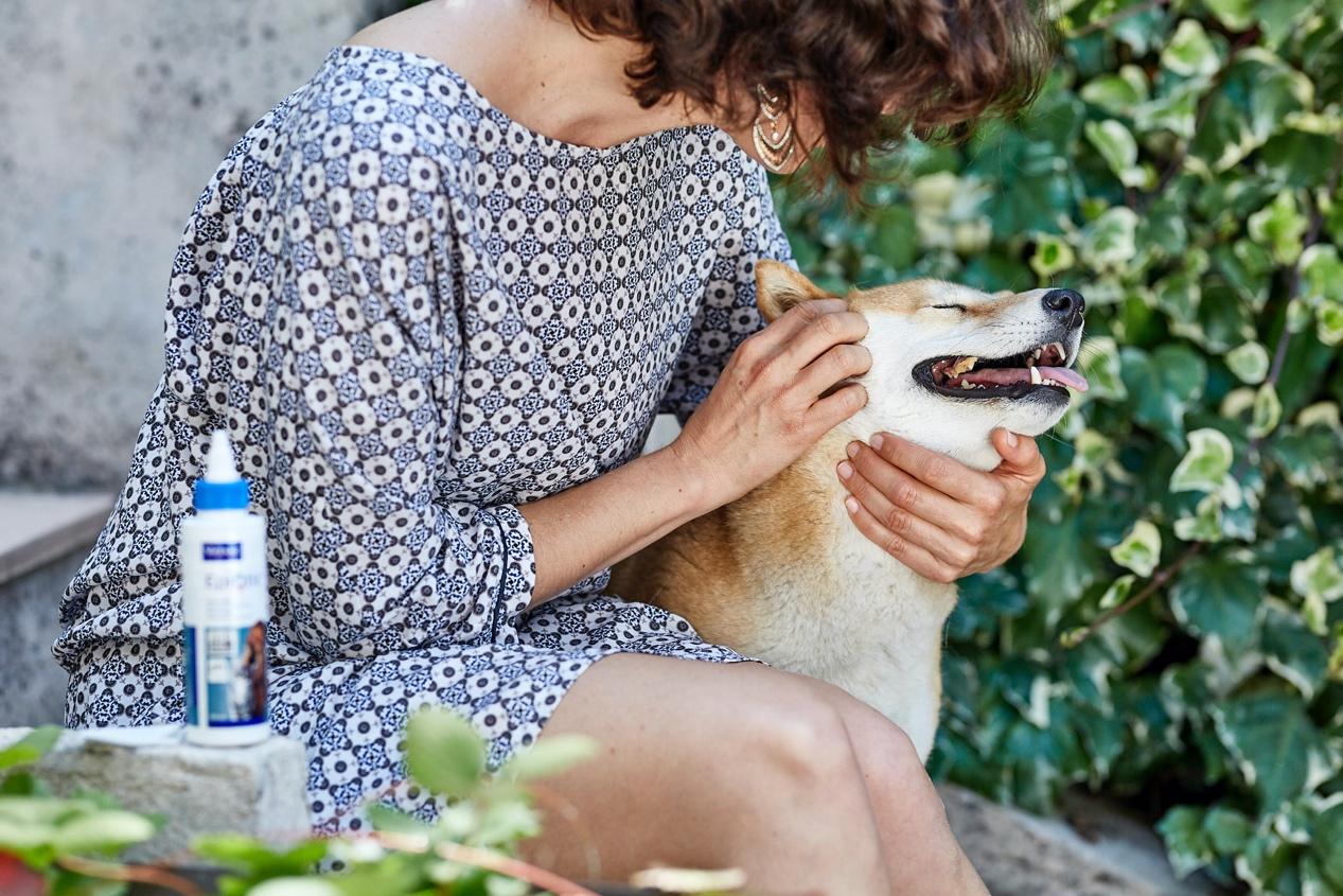 如何清理貓狗耳朵 4步驟完成毛孩耳道日常清潔 避免耳道發炎 Virbac 維克官方旗艦店