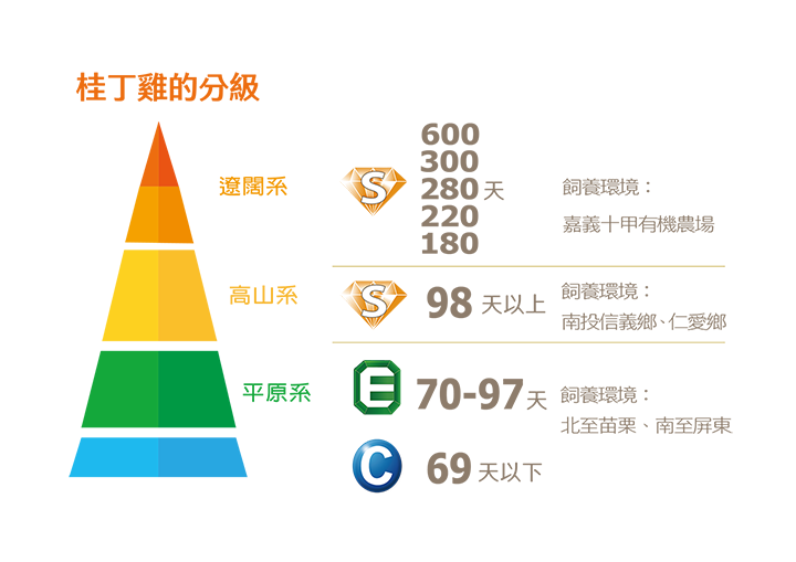【帕修斯,為什麼?】 | 臺灣土雞王