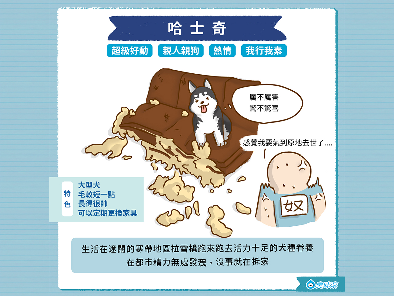 常見狗狗品種 大型犬篇 臭味滾odout