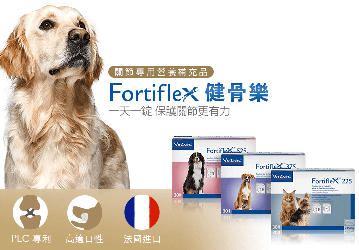 淺談老狗照顧 狗狗年紀大必須注意的3大重點與常見疾病 Virbac 維克官方旗艦店