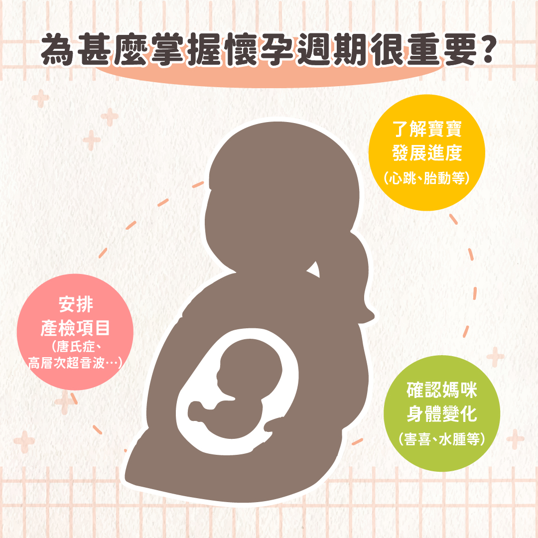 懷孕週期計算全攻略｜怎麼判斷懷孕週數、受孕日期及寶寶心跳時間一次看| Pandababy 鑫耀生技