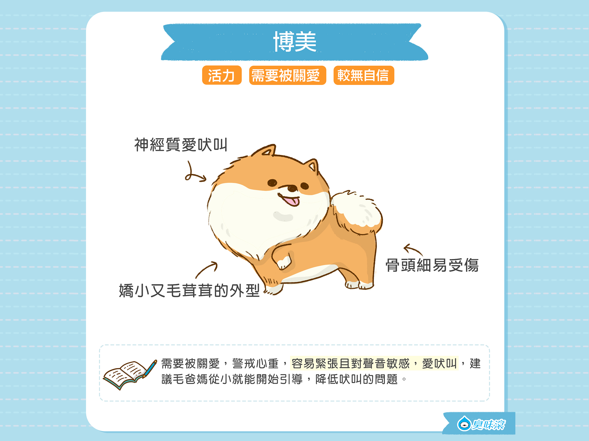 常見狗狗品種-中小型犬篇| 臭味滾ODOUT