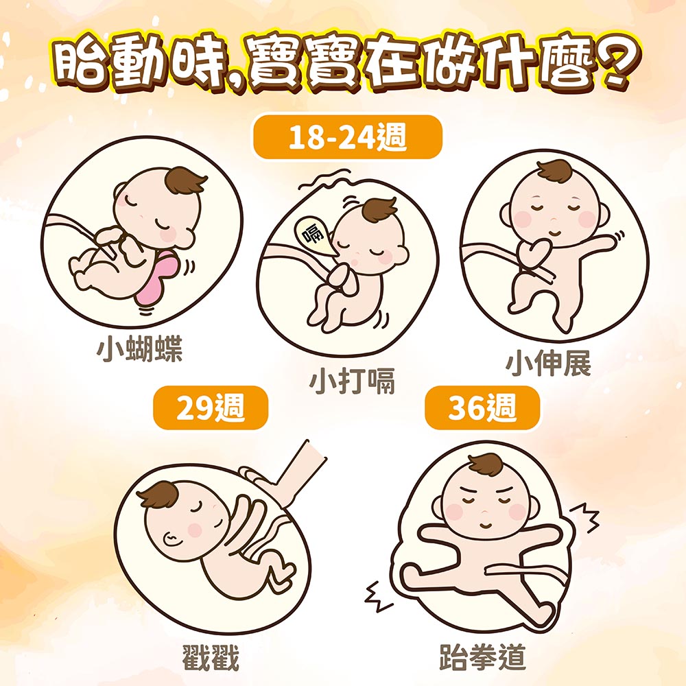 胎動的感覺?胎動頻繁想告訴你的警訊,胎兒體重不宜過輕! | 卡蘿琳益生菌|守護全家人的健康