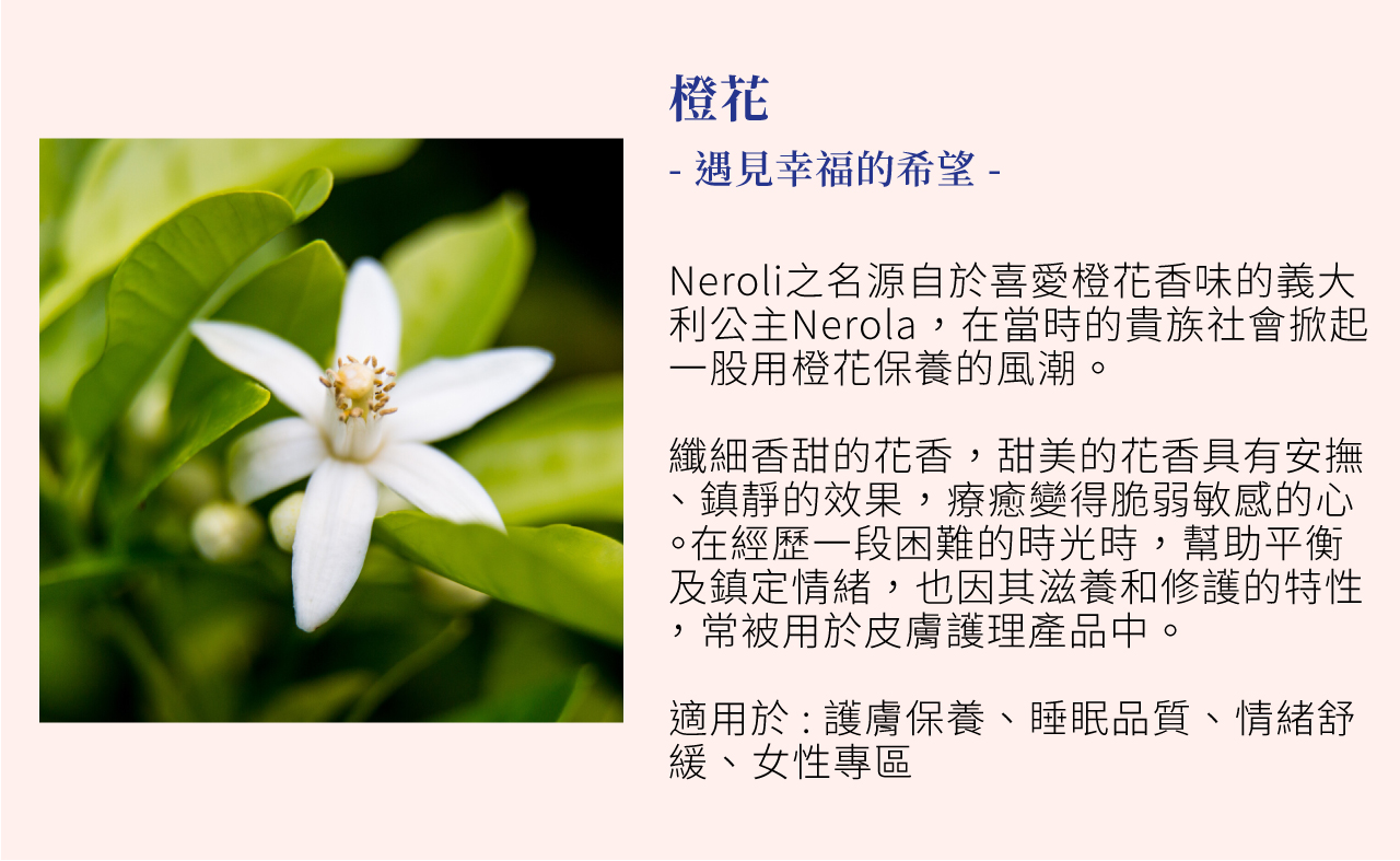 植物精神能量 橙花 Atsenses植方