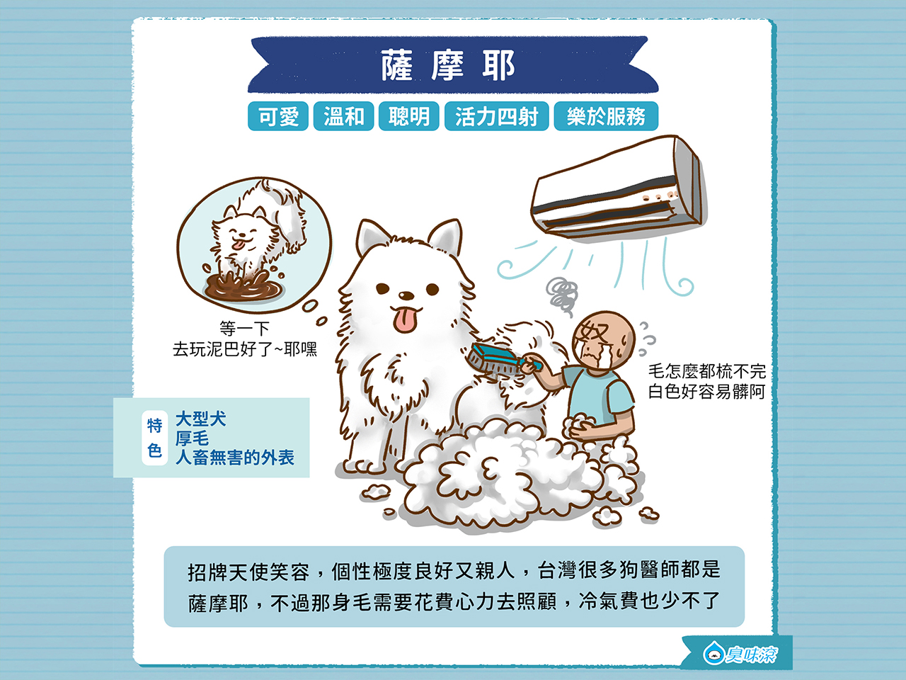 常見狗狗品種 大型犬篇 臭味滾odout 常見狗狗品種 大型犬篇 臭味滾odout