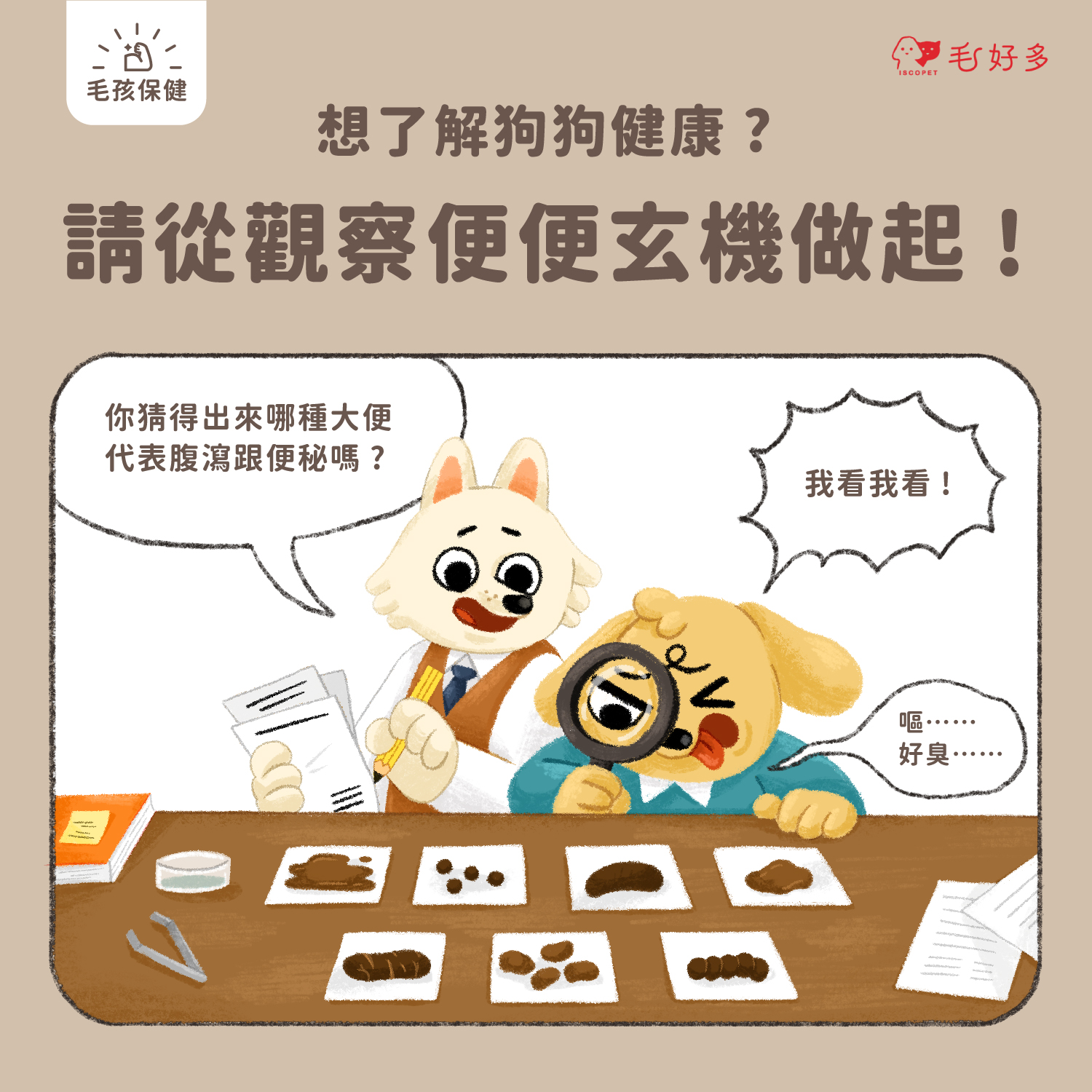 【毛孩保健】 想了解狗狗健康?請從觀察便便玄機做起! - 毛好多 ISCOPET
