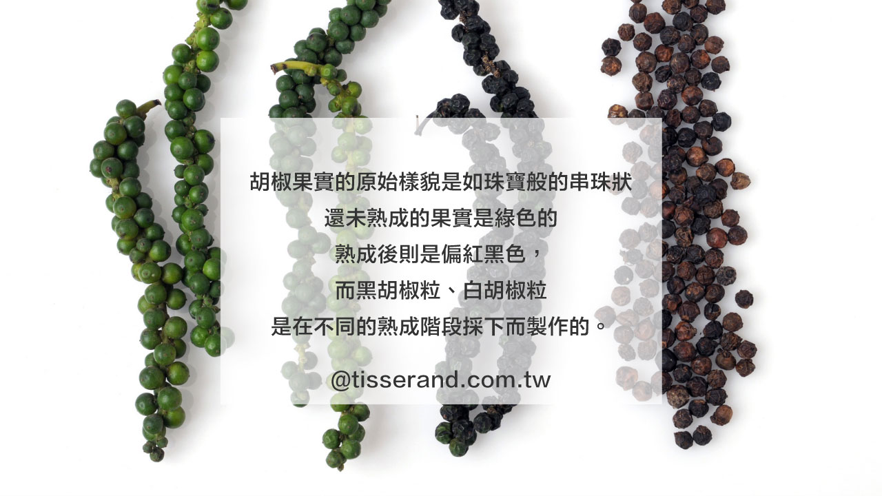 有溫度的精油 黑胡椒black Pepper有機純精油 Tisserand英國滴莎藍德