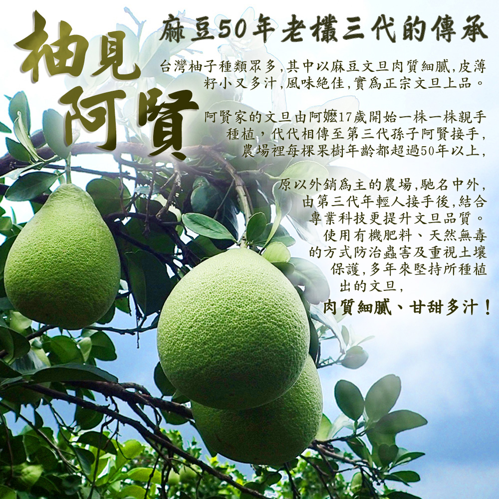 文旦、柚子？ 傻傻分不清楚怎麼辦，中秋節又為什麼要吃柚子呢？ 麻豆文旦為什麼要叫做文旦呢？ 有沒有柚 | 福壽百貨店